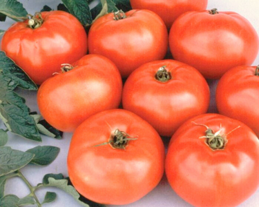Jet Star Hybrid Tomato Seeds